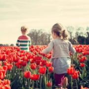 Spring Activities to Consider in Naperville, Illinois