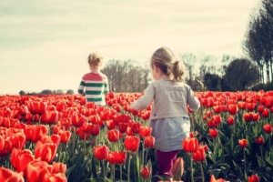 Spring Activities to Consider in Naperville, Illinois