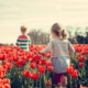 Spring Activities to Consider in Naperville, Illinois