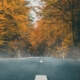 Fall and winter driving Naperville, IL