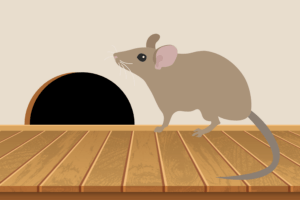 Rodent Damage & Preventative Steps to Take This Winter in Naperville, IL